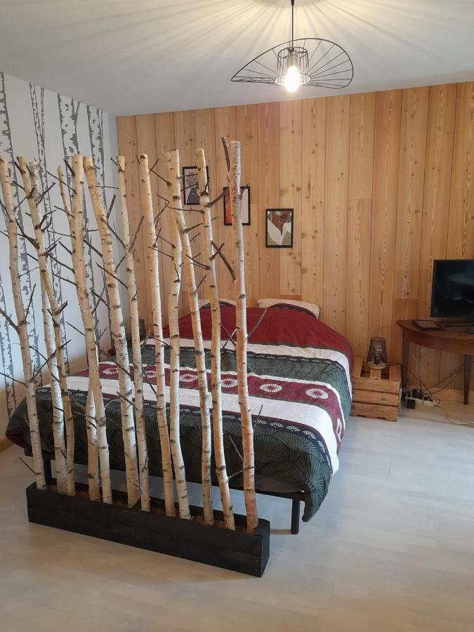 Studio Cosy De 2 A 4 Personnes Au Coeur Du Haut Doubs, Entre Les Lacs, Les Montagnes Et Les Vignobles Apartment Frasne ภายนอก รูปภาพ